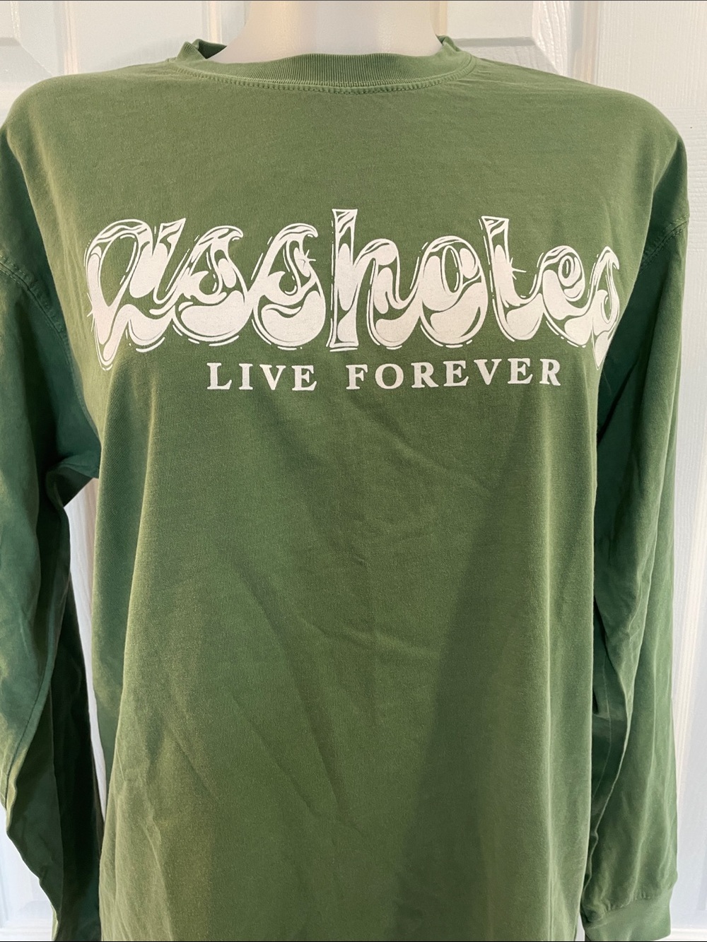 ASSHOLES LIVE FOREVER CREW NECK LONG SLEEVE DRK SAGE GREEN SOFT T-SHIRT SZ M